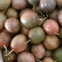 百香果电商货