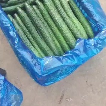 精品黄瓜