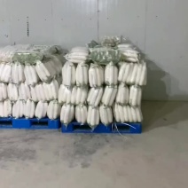 基地直发，精品白萝卜