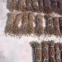 豆角大量供应干豇豆干豆角全国发货欢迎订货