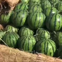 西瓜