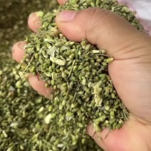 槐米便宜出售咯，物美价廉，你值得拥有哈哈
