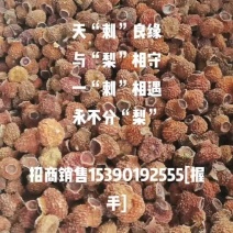 刺梨干