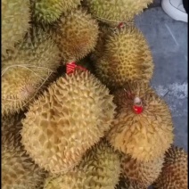泰国金枕榴莲