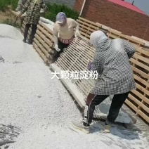 纯红薯颗粒淀粉