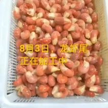 龙虾尾