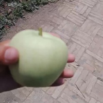 纸袋黄元帅（黄香蕉苹果）需要的老板联系量大货好还有各水果