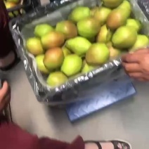山西运城市盐湖区龙居美玉一抹红晕果库红香酥梨