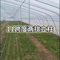 养殖大棚，联动大棚，几字钢大棚，安装一站式服务