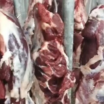 山东纯干鲁西黄牛肉价格优惠量大从优欢迎咨询