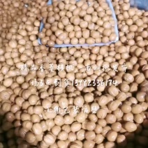 核桃