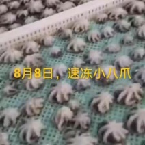 八爪鱼