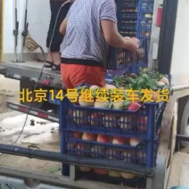 北京十四号