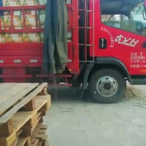 厂家常年大量批发烤鸭蛋松花蛋麻酱鸡蛋咸鸭蛋海鸭蛋全都有
