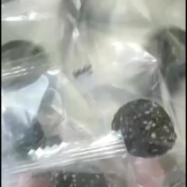 黑芝麻丸，经过九蒸九晒制作而成质量好新店厂家大促销
