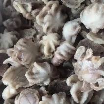 最小规格一斤30个左右盐揉八爪鱼扇贝肉鲍鱼