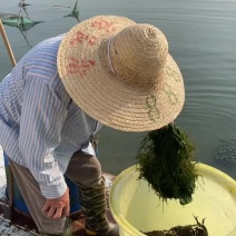 阳澄湖大闸蟹礼券开始预售喽！招代理加盟！