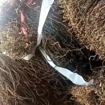 豆角大量供应干豇豆干豆角全国发货欢迎订购。