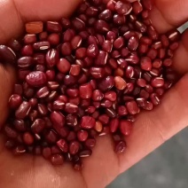 红小豆