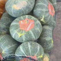 大家好我是河北省邯郸市永年区板栗南瓜产地大量有货