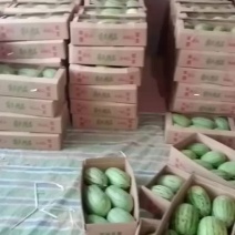 早春红玉
