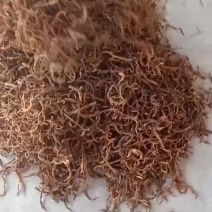 大量供应精品干四季豆，干豇豆干豆角全国发货欢迎订购。
