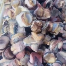 新鲜驴蹄子短蹄子小蹄子蹄冒厂家直发