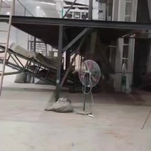 稻壳