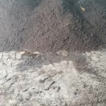 酒糟