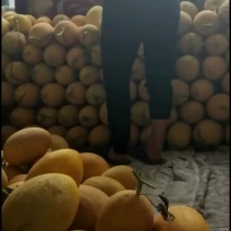 哈密瓜