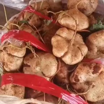 白嫩多汁，脆甜可口！