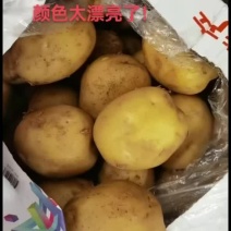 土豆，黄皮黄心土豆