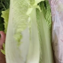 我是河北省邯郸市永年区秋绿市场，大量有货，需要联系我