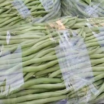 云南省弥勒市大量无筋豆，大青豆，红花豆毛豆，四季豆，棒豆