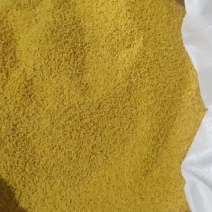 放城小米