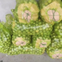 全国代发青皮核桃
