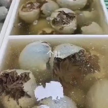 黑个毛肚，火锅搭档，麻辣烫自助餐，凉拌佳品，脆爽美味
