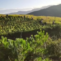 土地出租土地出售土地流转土地租赁
