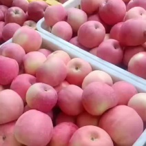 宁夏中卫富硒苹果