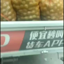 青皮核桃