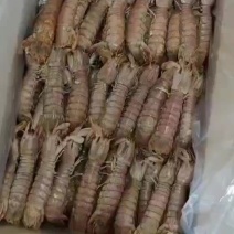 煮熟的皮皮虾