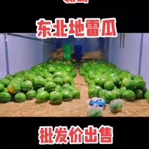 大量批发东北地雷西瓜