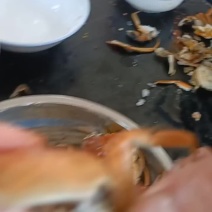 这里是河北唐山丰南区想合作的朋友请打平台的电话