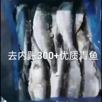 单冻去内胀青鱼，一条四两左右