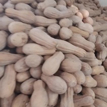 欧冠蜜本瓜