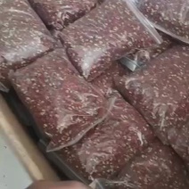 川西高原的大红袍花椒