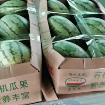 早春红玉（浙江精品甘美4k美都等