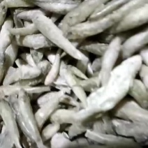 单冻小黄鱼