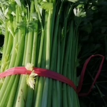 中细棵西芹