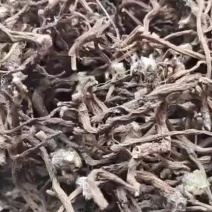 白头翁，茜草，地骨皮
